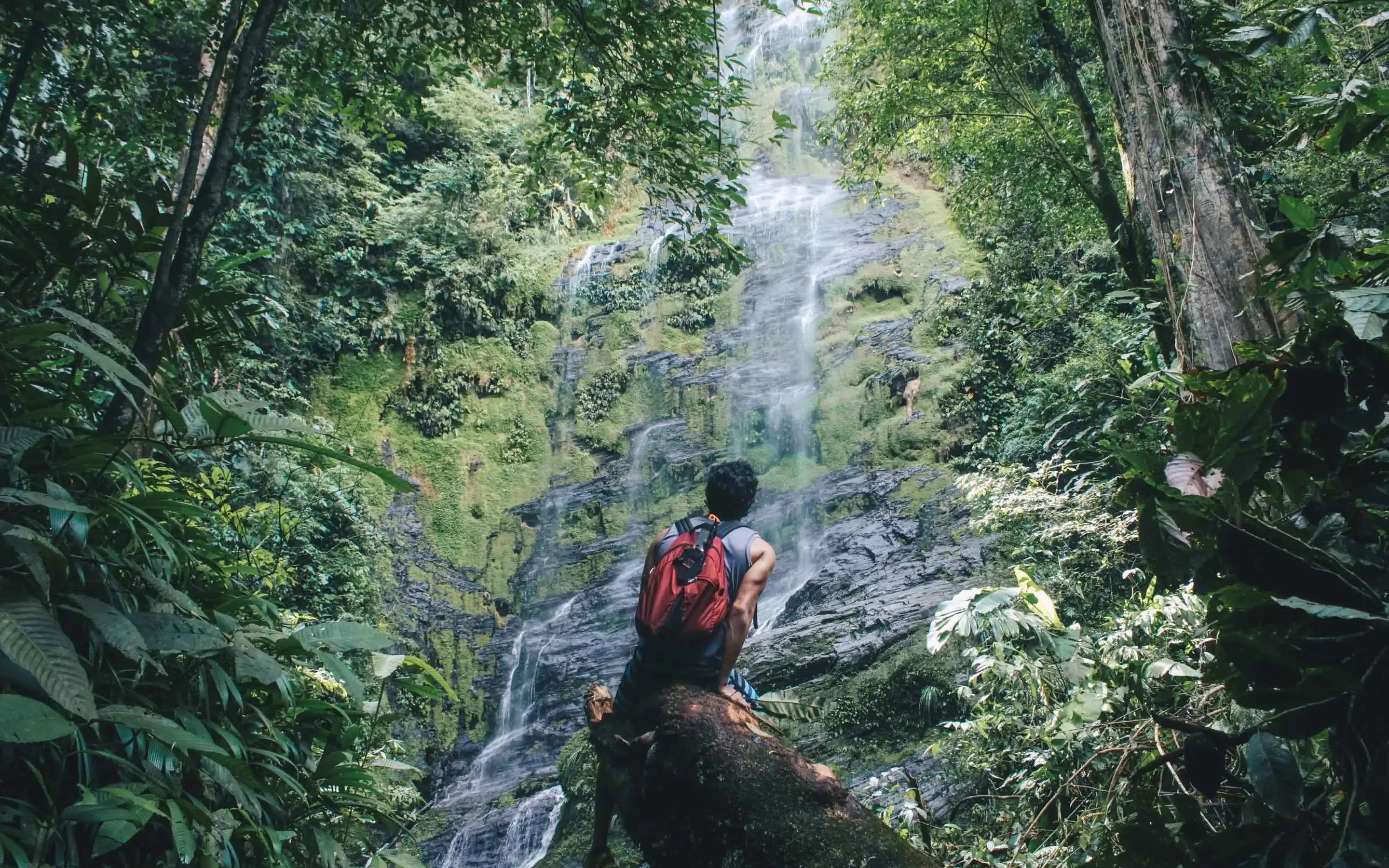 Guided hiking tours